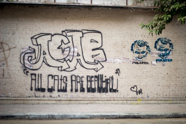 Graffiti in downtown Cairo | Foto: Ester Meerman